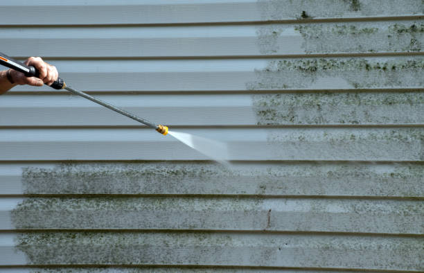Best Fence Cleaning  in Inglis, FL