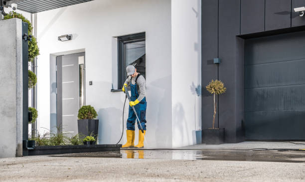 Best Driveway Pressure Washing  in Inglis, FL